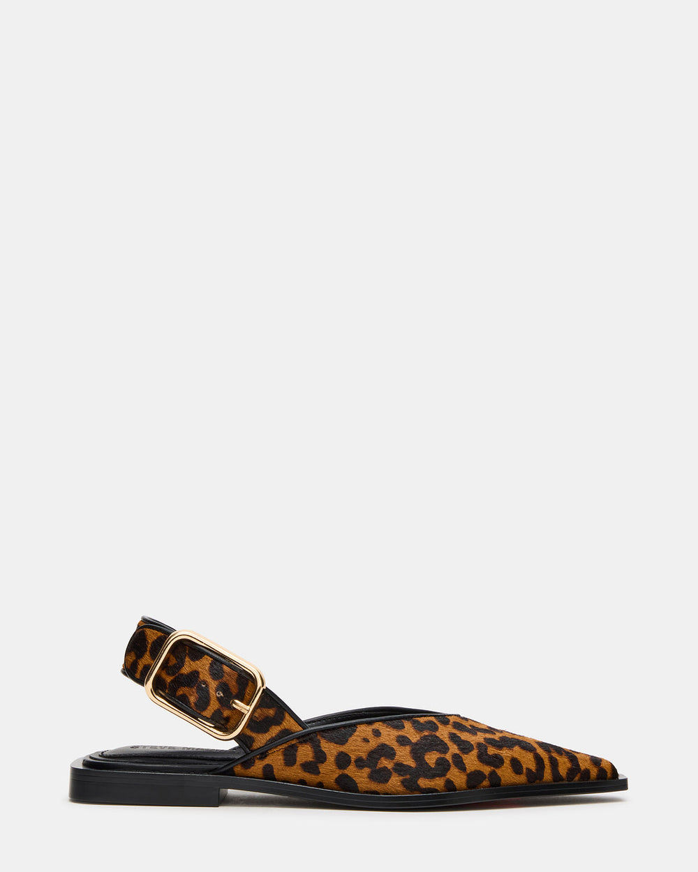 SHAY Leopard Pointed-Toe Slingback Ballet Women's Flat | Steve Madden online