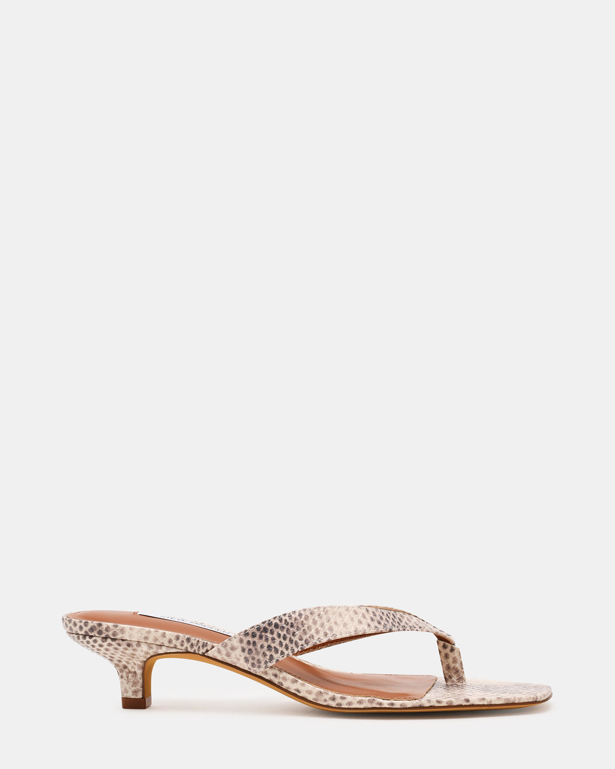 TRACIE Natural Snake Thong Strap Women's Kitten Heel | Steve Madden US