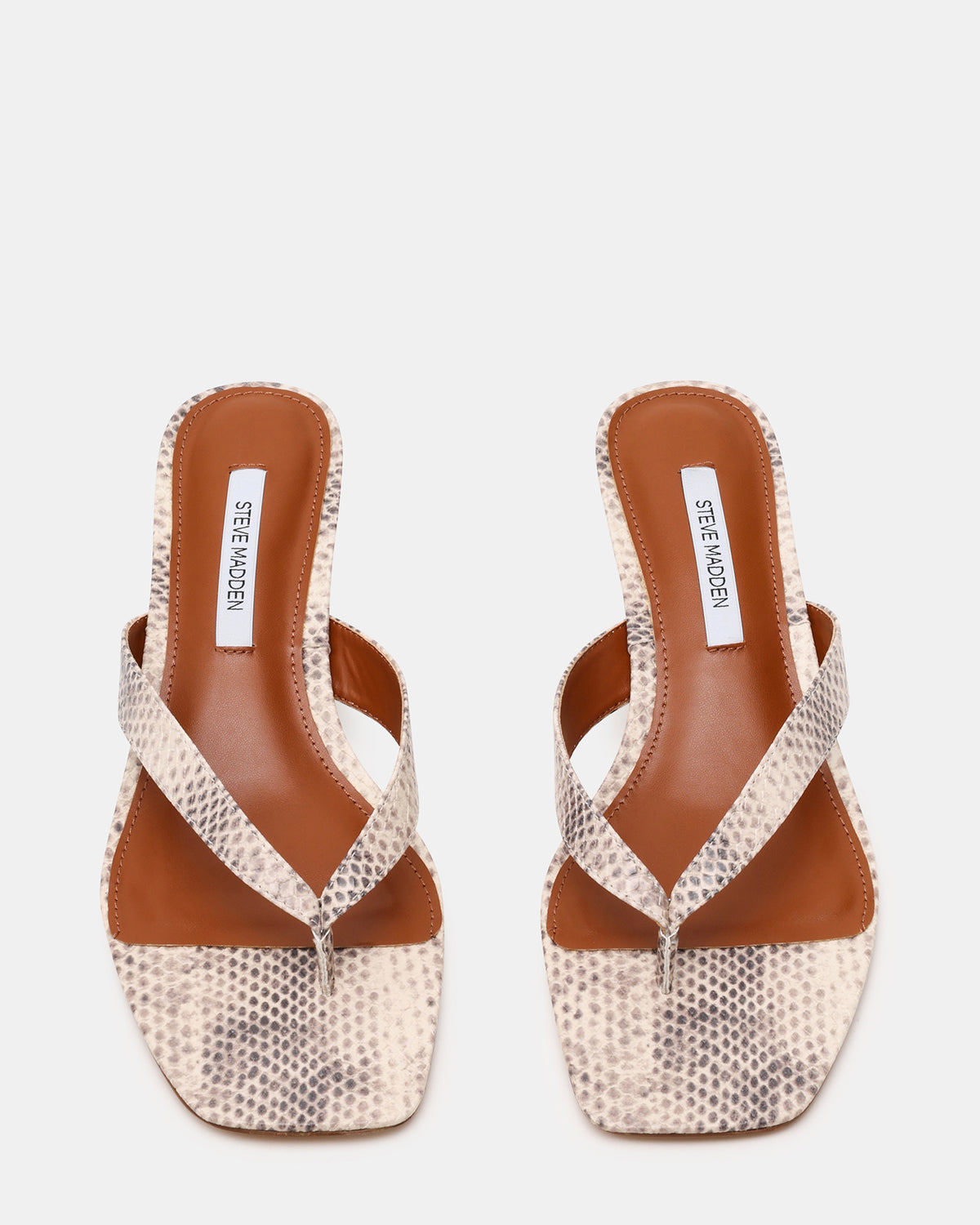 TRACIE Natural Snake Thong Strap Women's Kitten Heel | Steve Madden US