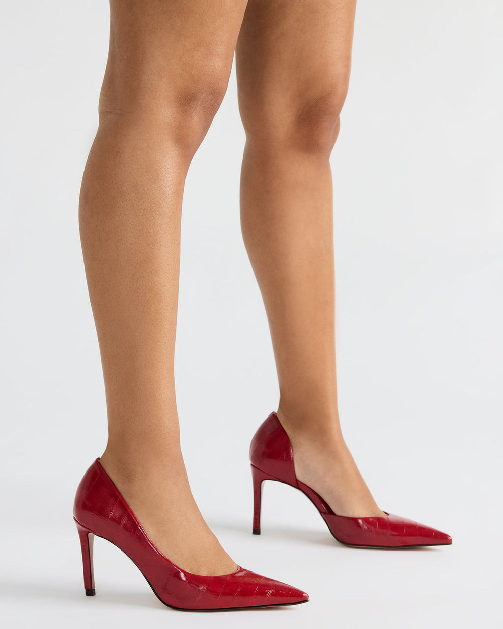 NULA Zebra Pointed-Toe Stiletto Pump Women's Heel | Steve Madden Sale
