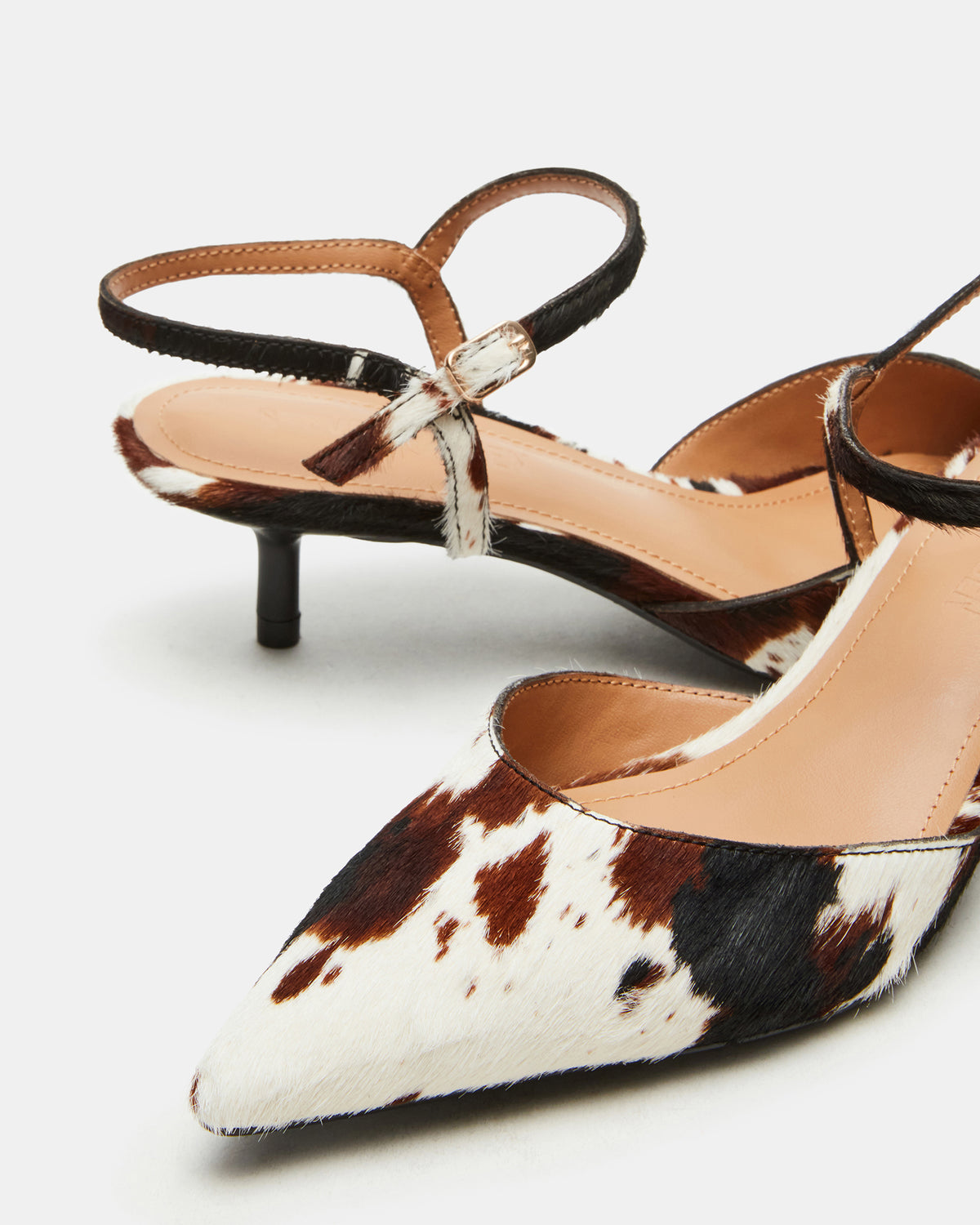 ADELAIDE Brown Cow Print Women's Pointed-Toe Kitten Heel | Steve Madden US