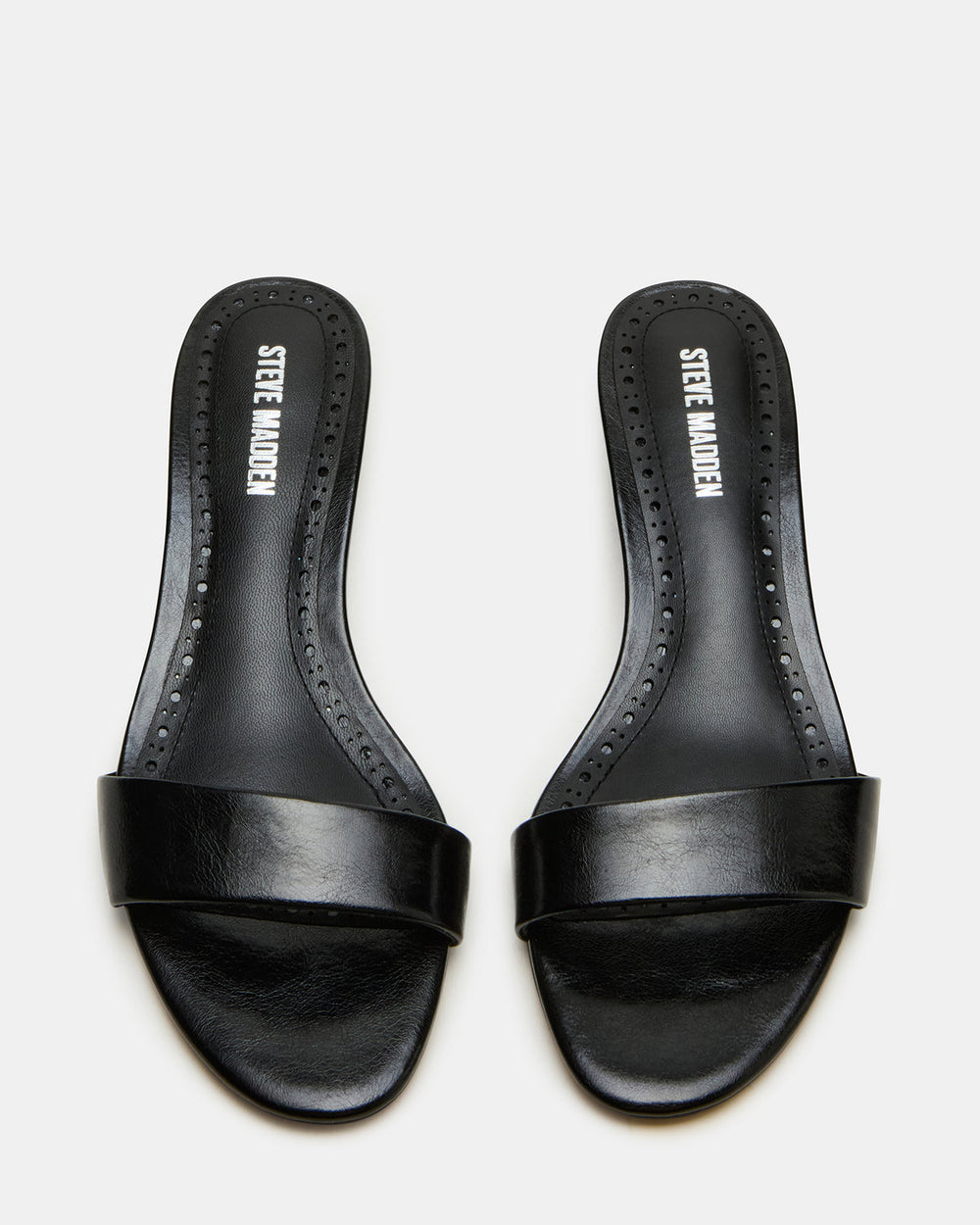 BERRY Black Women's Mule Kitten Heel | Steve Madden for Sale