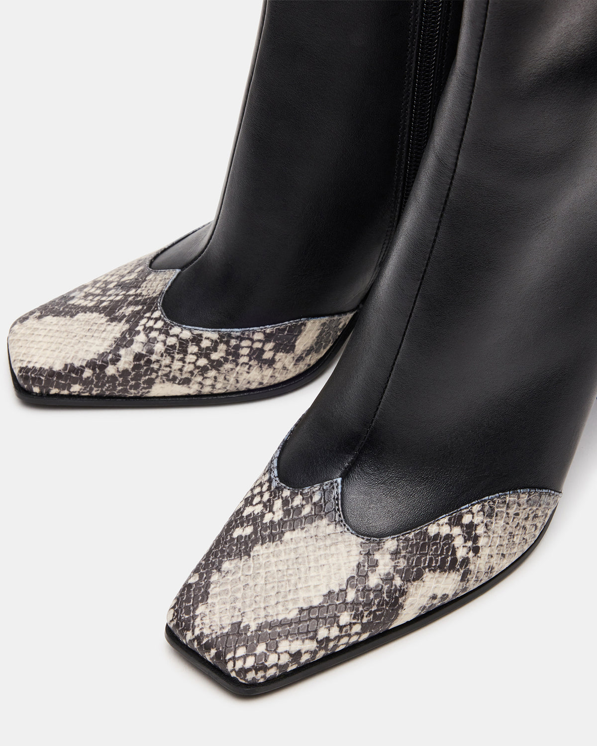 LYLE Black Leather with Snake Square-Toe Heeled Women's Ankle Boot | Steve Madden for Sale
