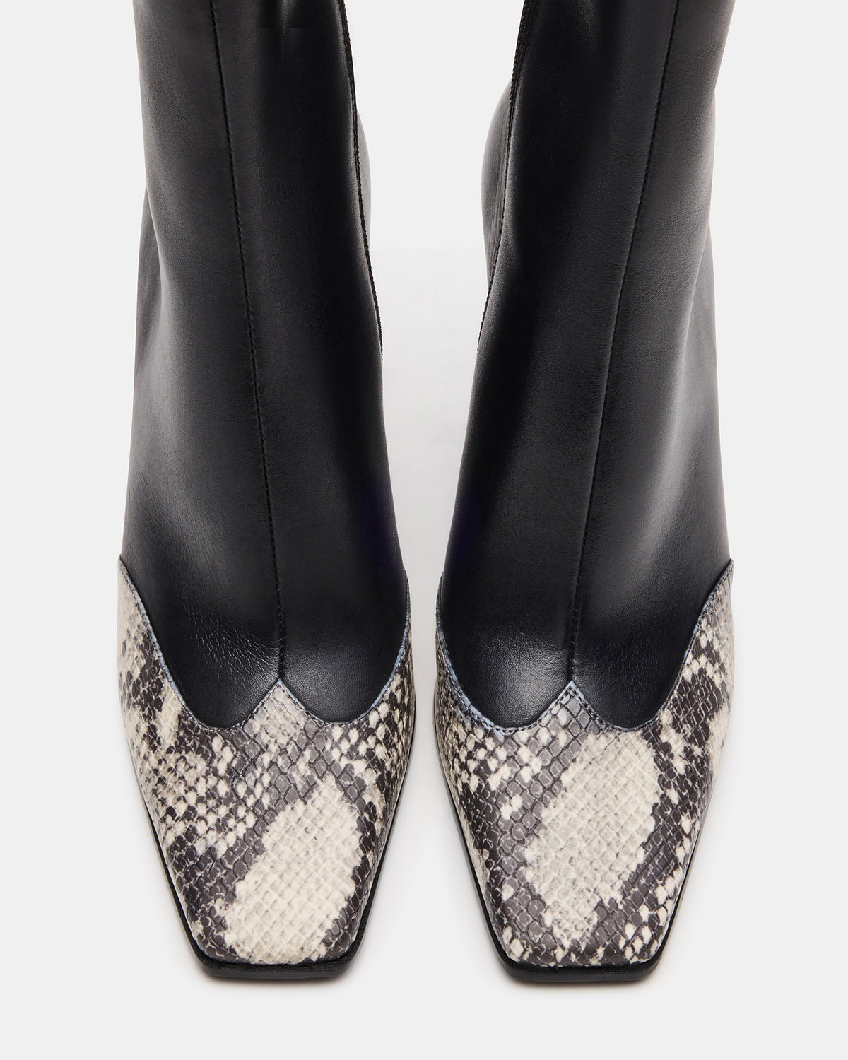 LYLE Black Leather with Snake Square-Toe Heeled Women's Ankle Boot | Steve Madden for Sale
