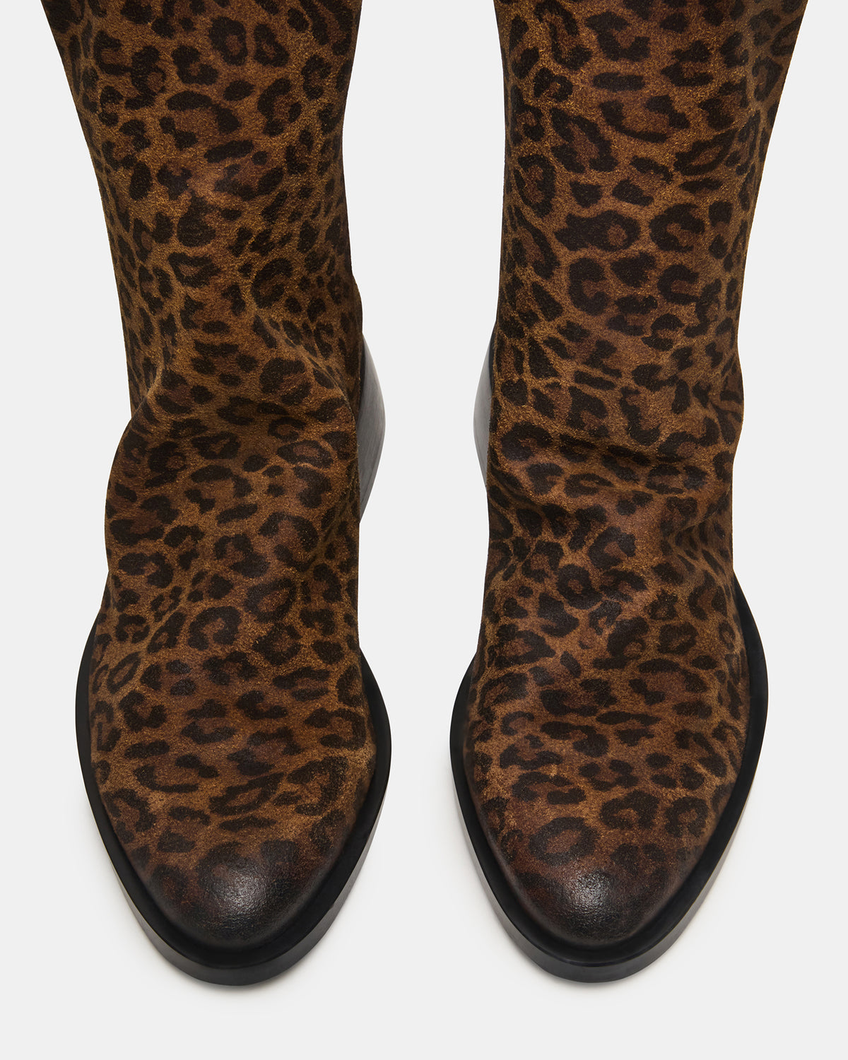 NEXIE Leopard Women's Pointed-Toe Ankle Boot | Steve Madden Sale
