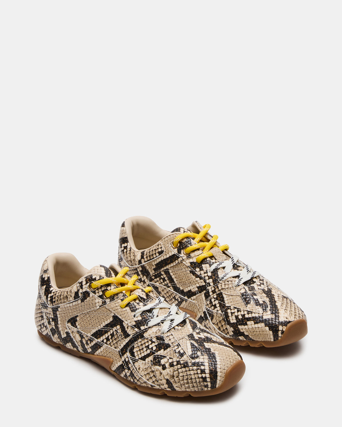 AZIEL Tan Snake Low-Top Lace-Up Women's Sneakers | Steve Madden discount