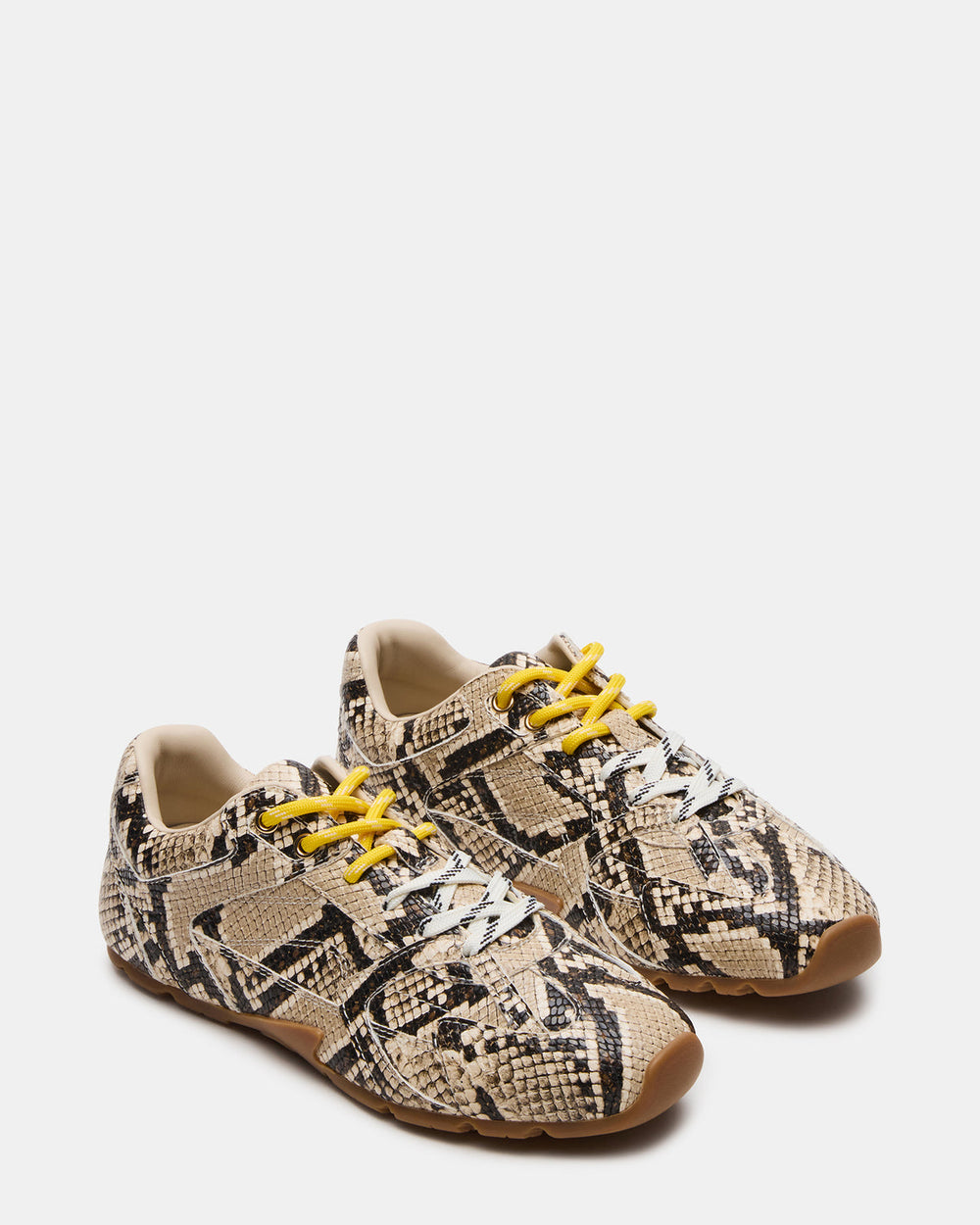 AZIEL Tan Snake Low-Top Lace-Up Women's Sneakers | Steve Madden discount