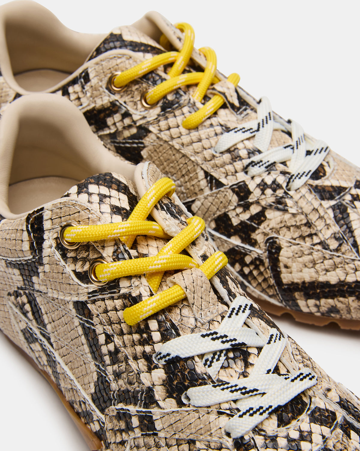 AZIEL Tan Snake Low-Top Lace-Up Women's Sneakers | Steve Madden discount