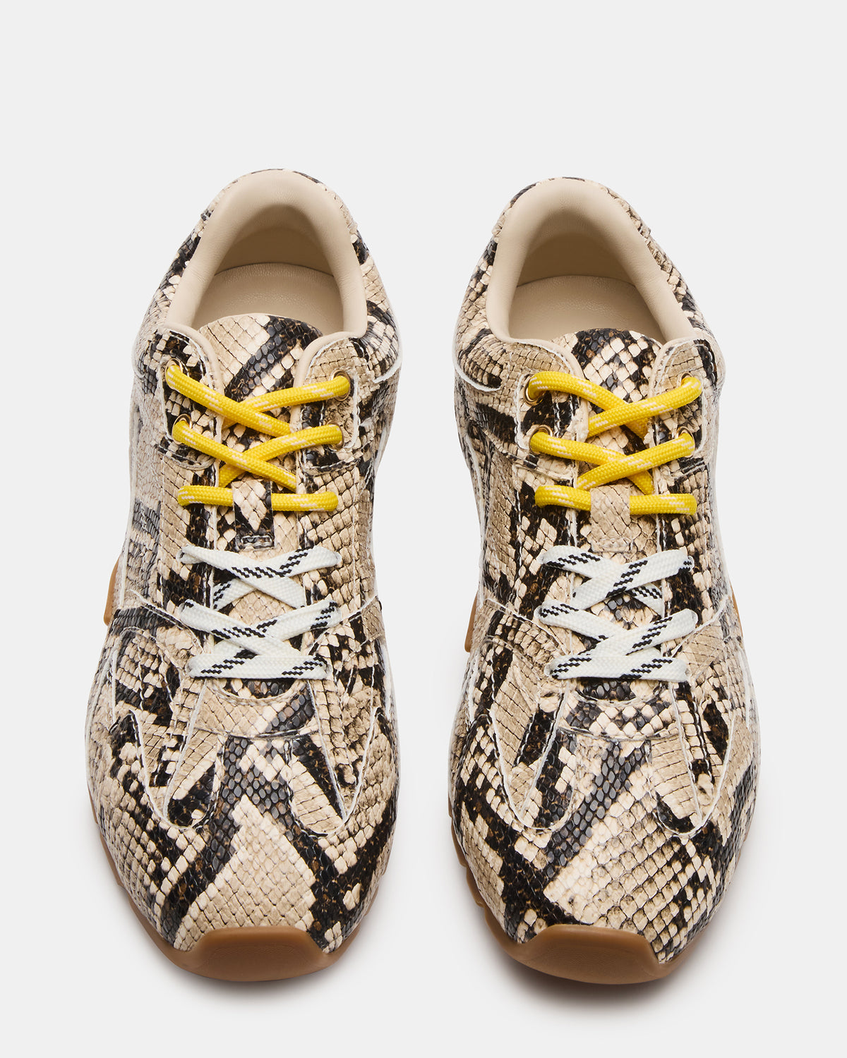 AZIEL Tan Snake Low-Top Lace-Up Women's Sneakers | Steve Madden discount