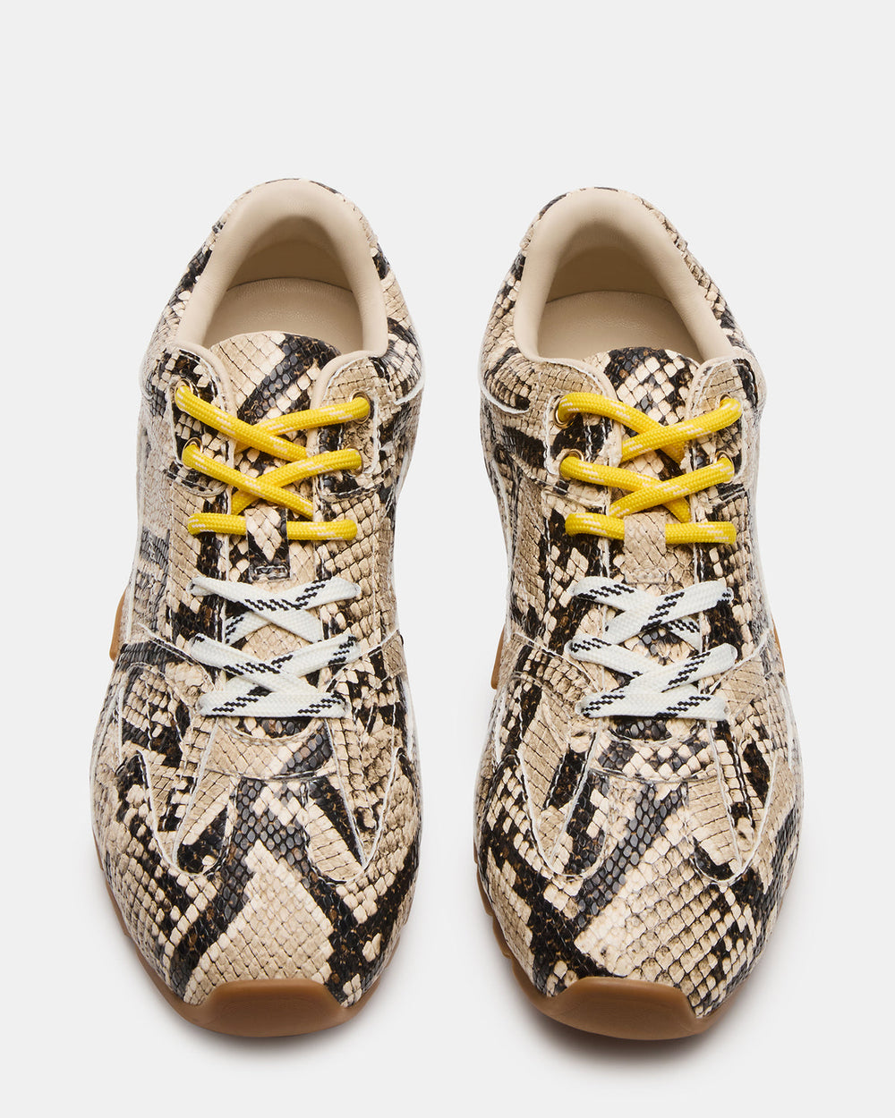 AZIEL Tan Snake Low-Top Lace-Up Women's Sneakers | Steve Madden discount