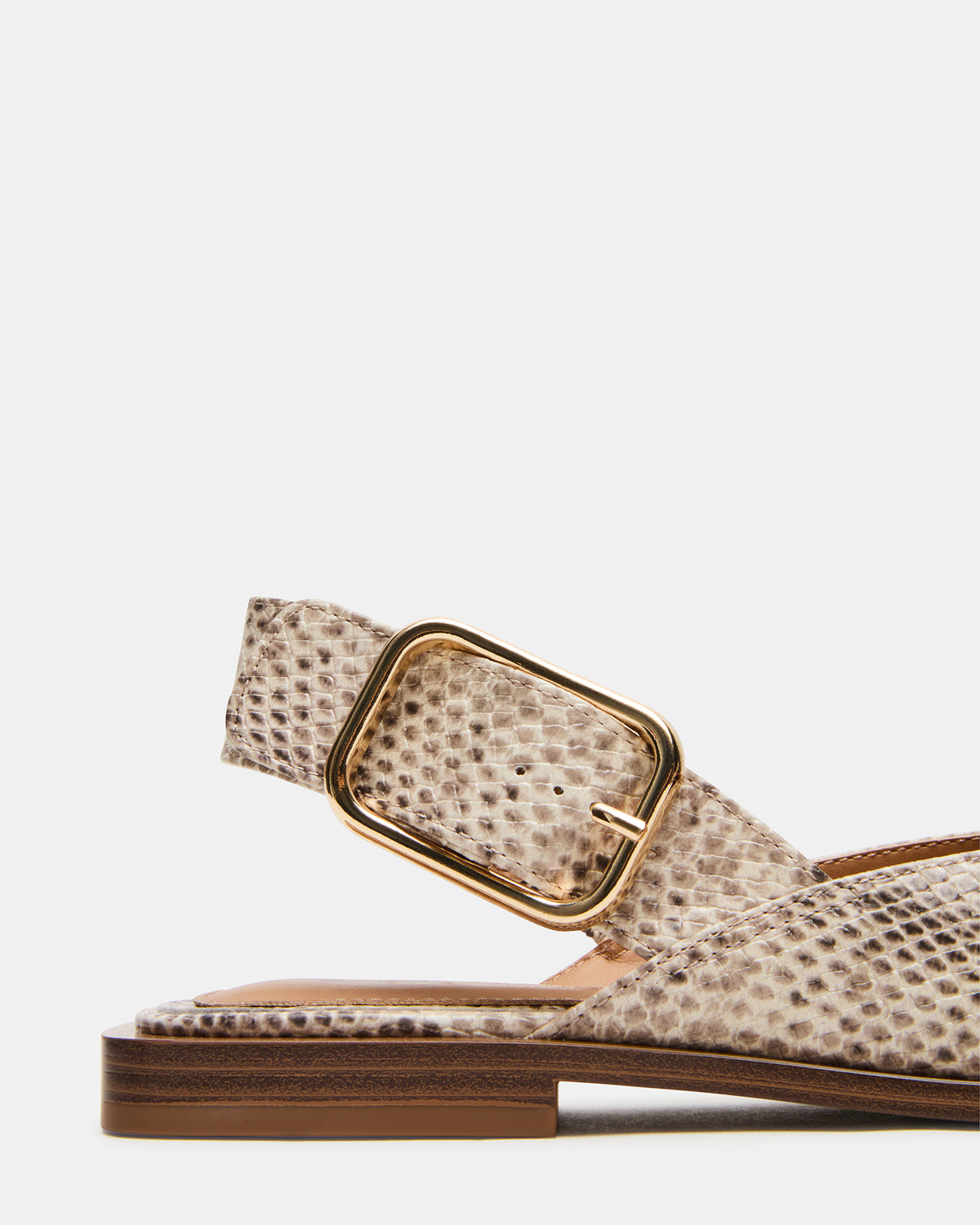 SHAY Snake Pointed-Toe Slingback Ballet Women's Flat | Steve Madden for Sale