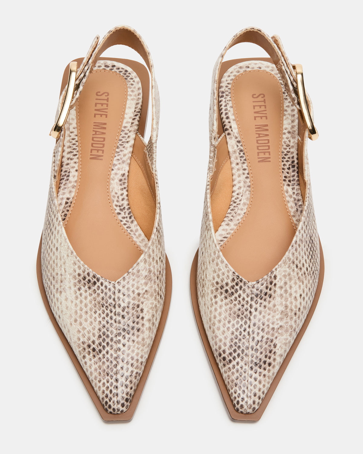 SHAY Snake Pointed-Toe Slingback Ballet Women's Flat | Steve Madden for Sale