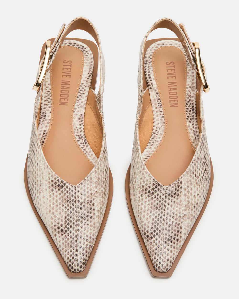 SHAY Snake Pointed-Toe Slingback Ballet Women's Flat | Steve Madden for Sale