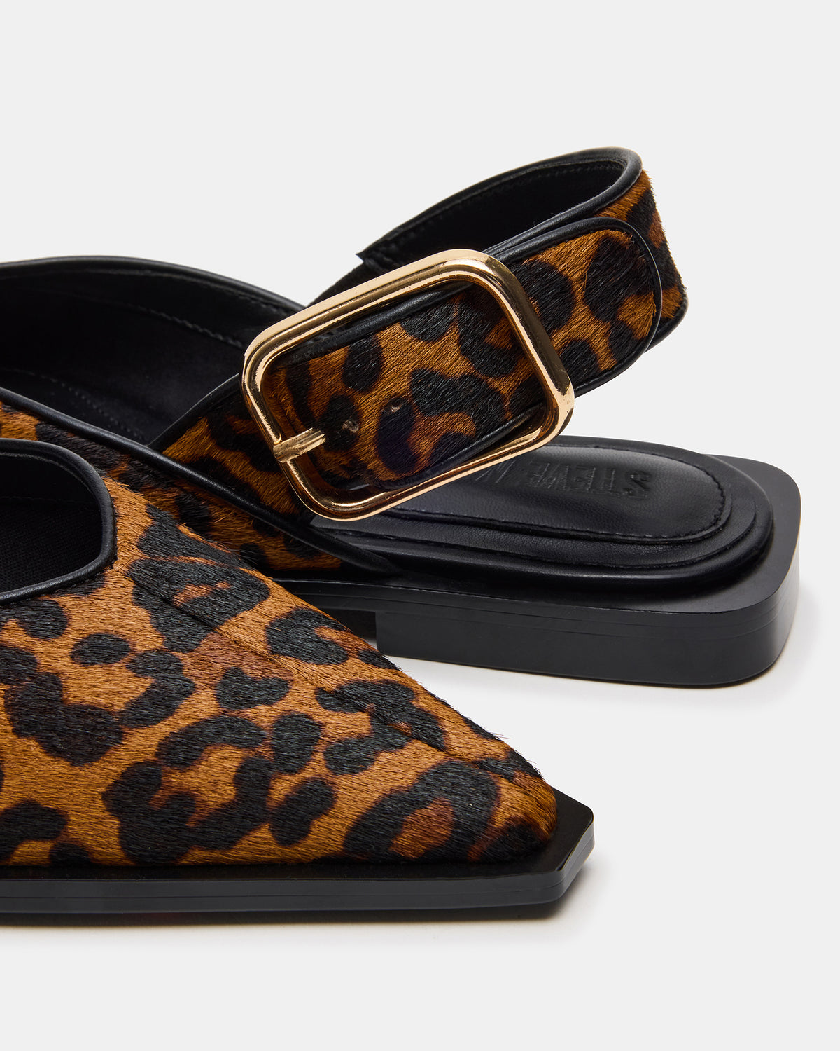 SHAY Leopard Pointed-Toe Slingback Ballet Women's Flat | Steve Madden online