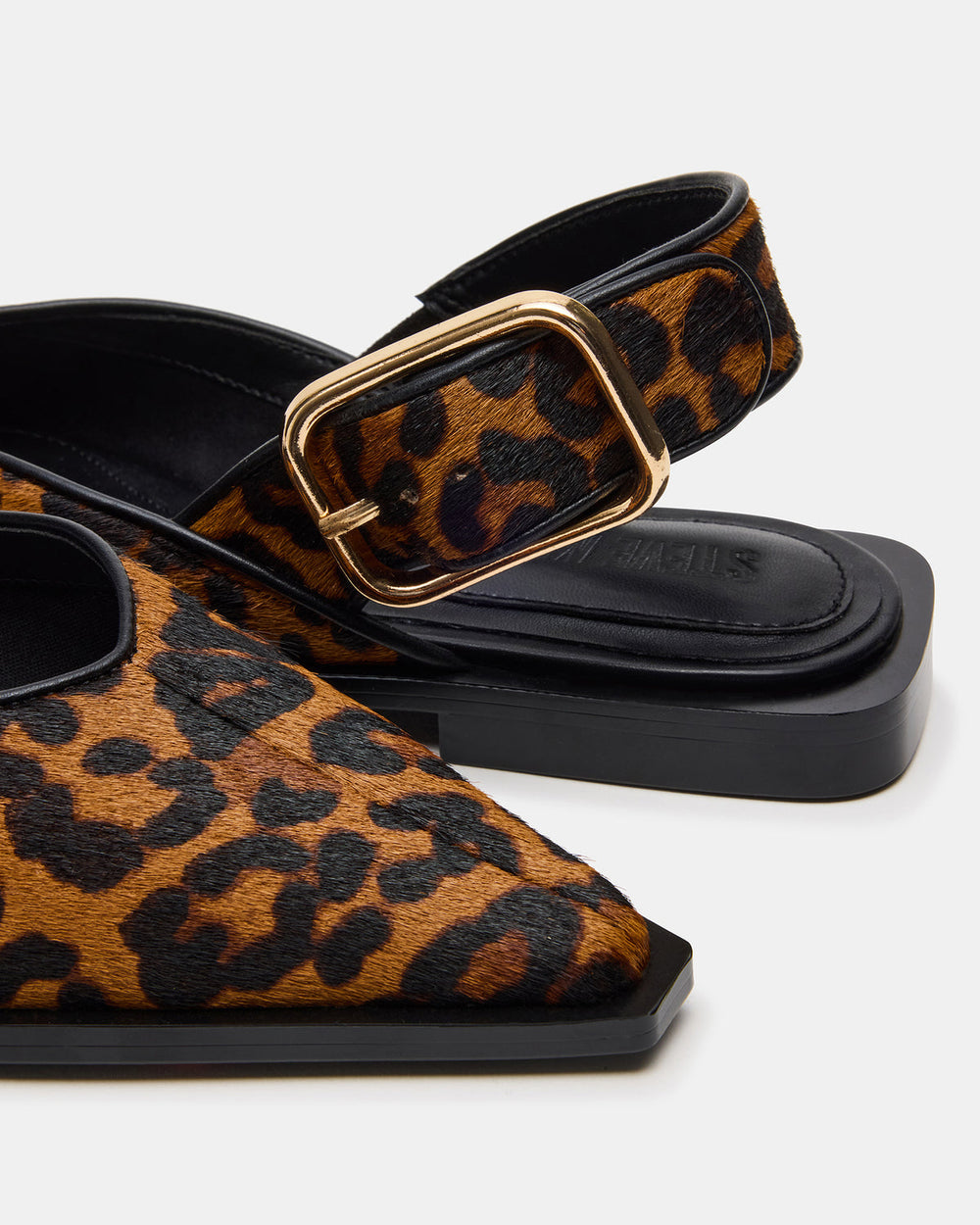 SHAY Leopard Pointed-Toe Slingback Ballet Women's Flat | Steve Madden online