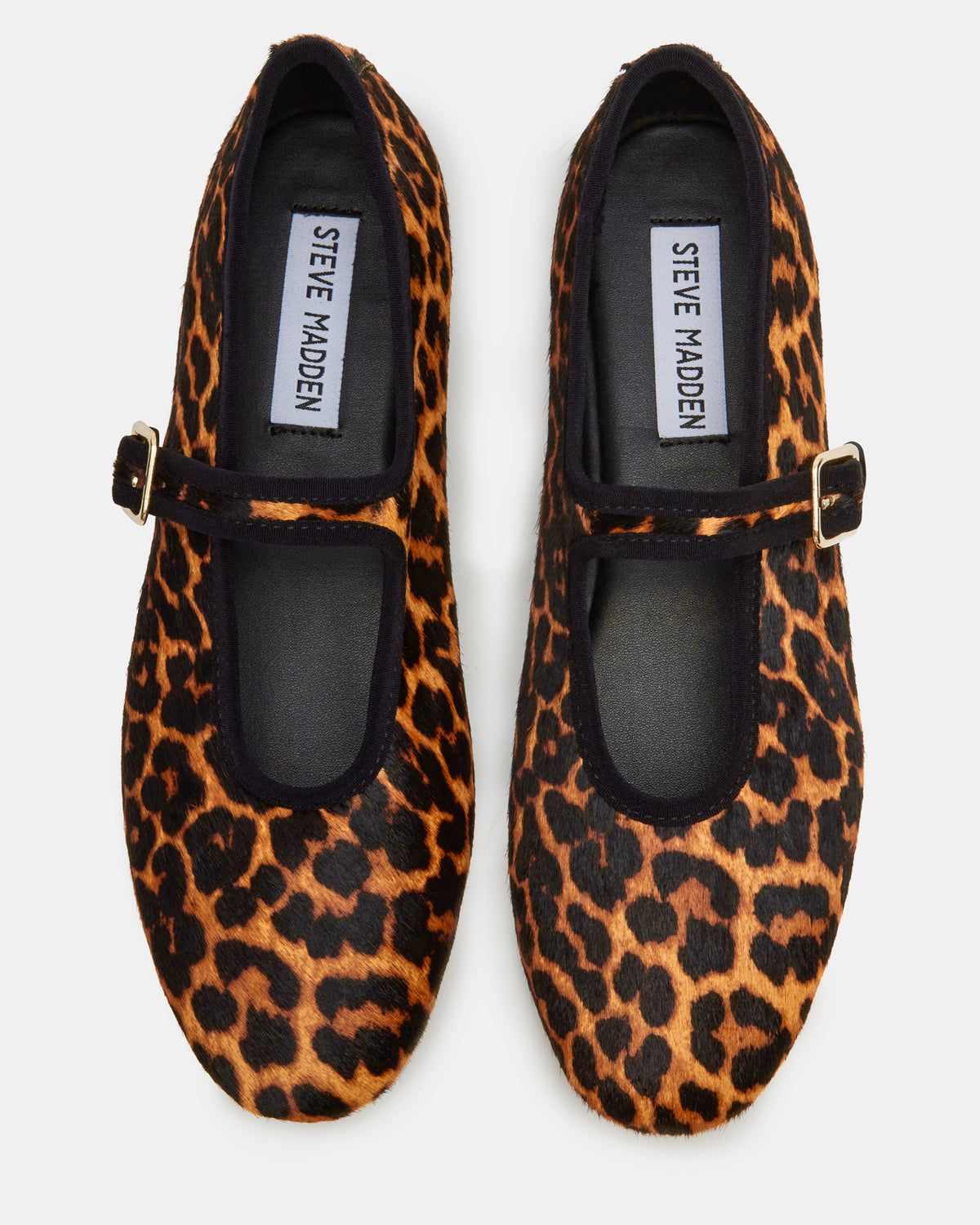 DREAMING Leopard Women's Mary Jane Flats | Steve Madden discount
