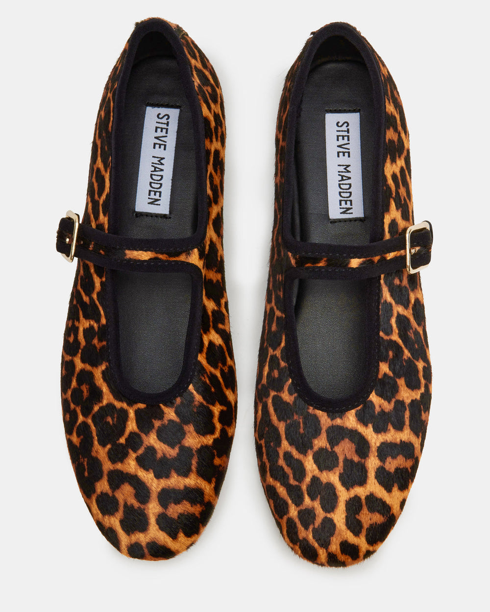 DREAMING Leopard Women's Mary Jane Flats | Steve Madden discount