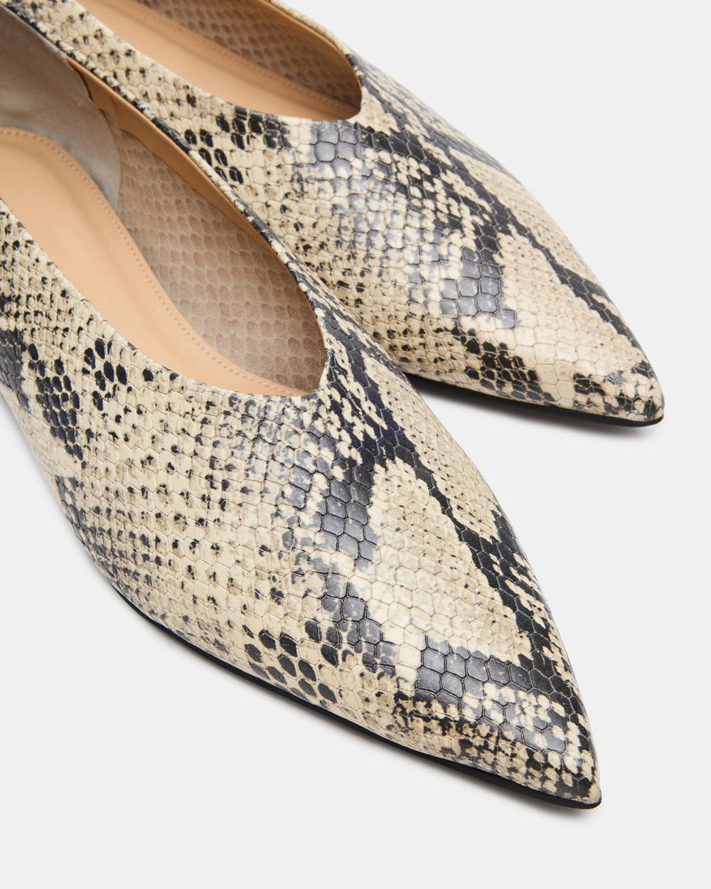 FLOYD Snake Pointed-Toe Ballet Women's Flat | Steve Madden for Sale