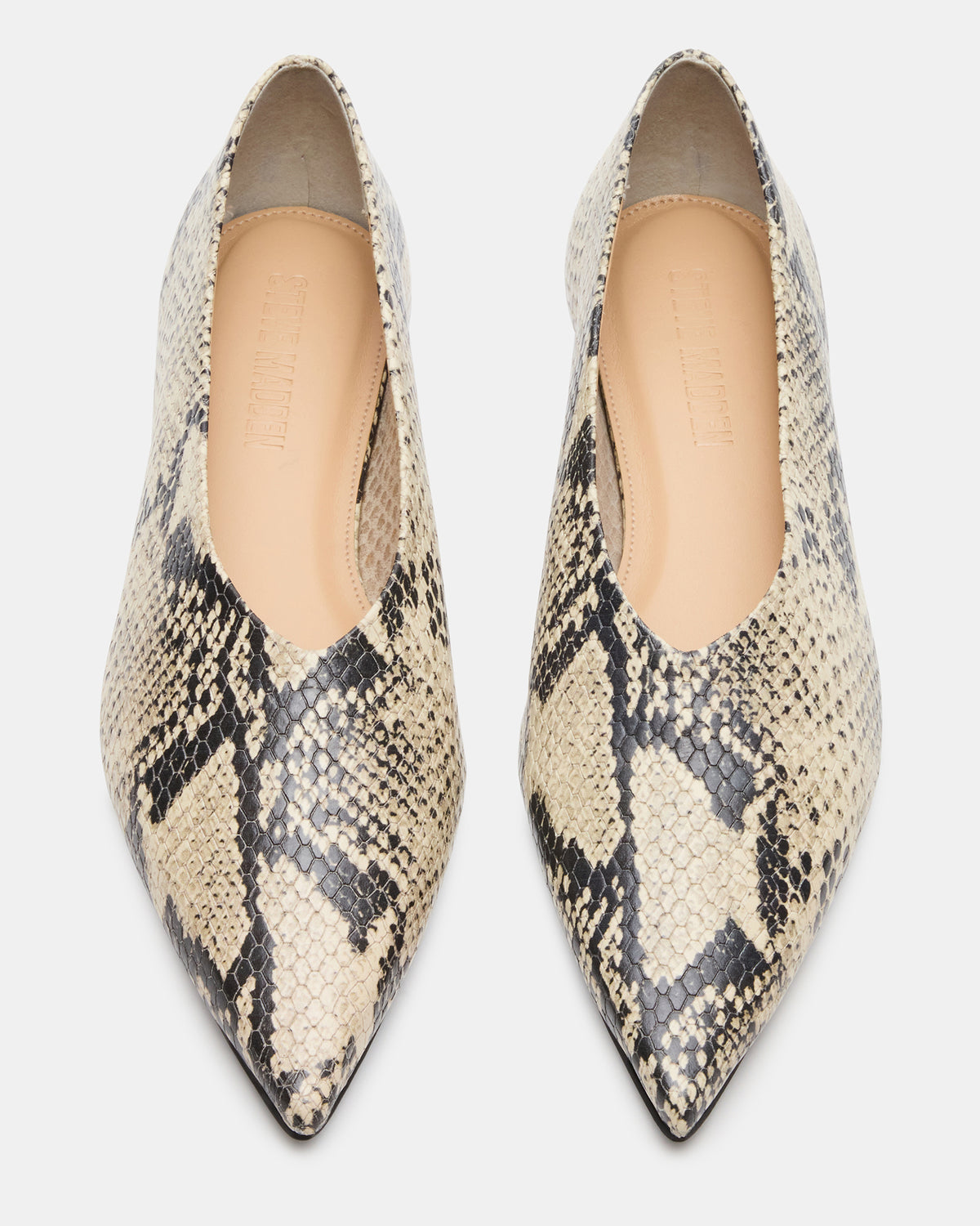 FLOYD Snake Pointed-Toe Ballet Women's Flat | Steve Madden for Sale