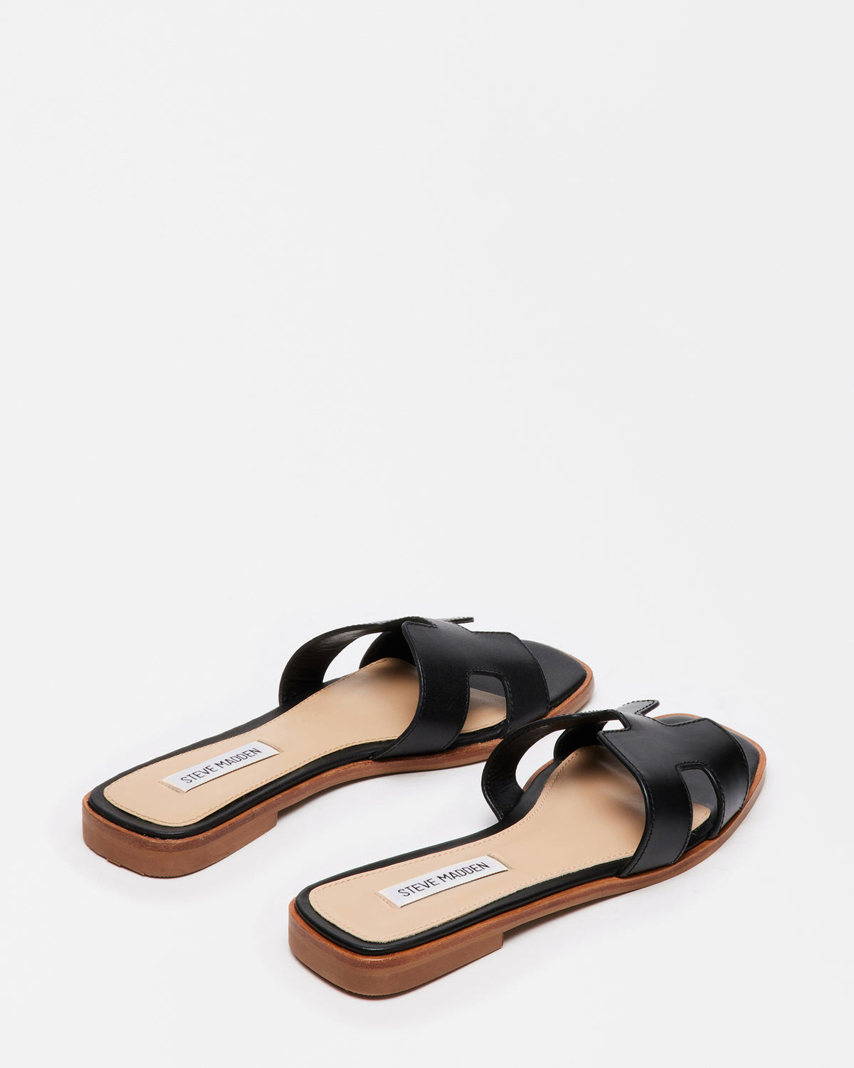 HADYN Black Leather Sandal | Women's Designer Sandals | Steve Madden online