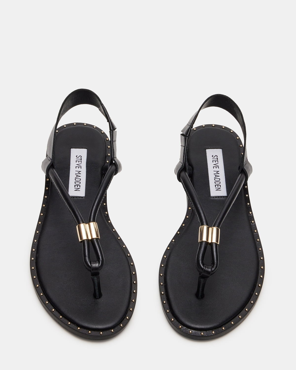 MEDUZA Black Leather Women's Studded Thong Sandal | Steve Madden discount