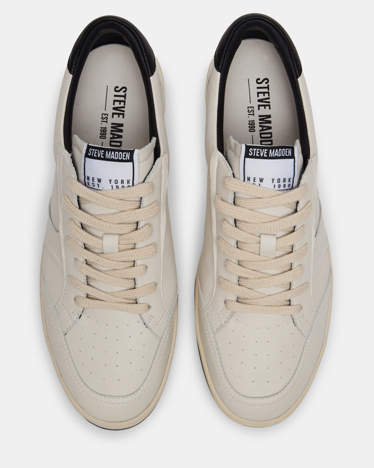 PRISMO Black Multi Low-Top Lace-Up Men's Sneaker | Steve Madden Sale