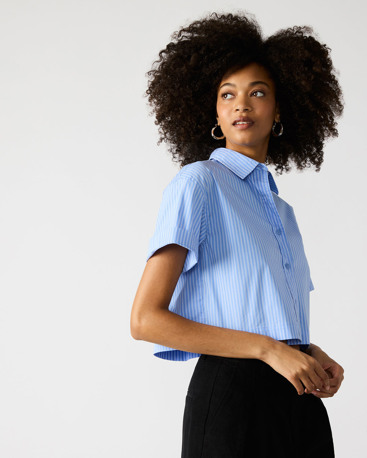 TULA Blue/White Women's Collared Button-Up Pinstripe Top | Steve Madden on Sale