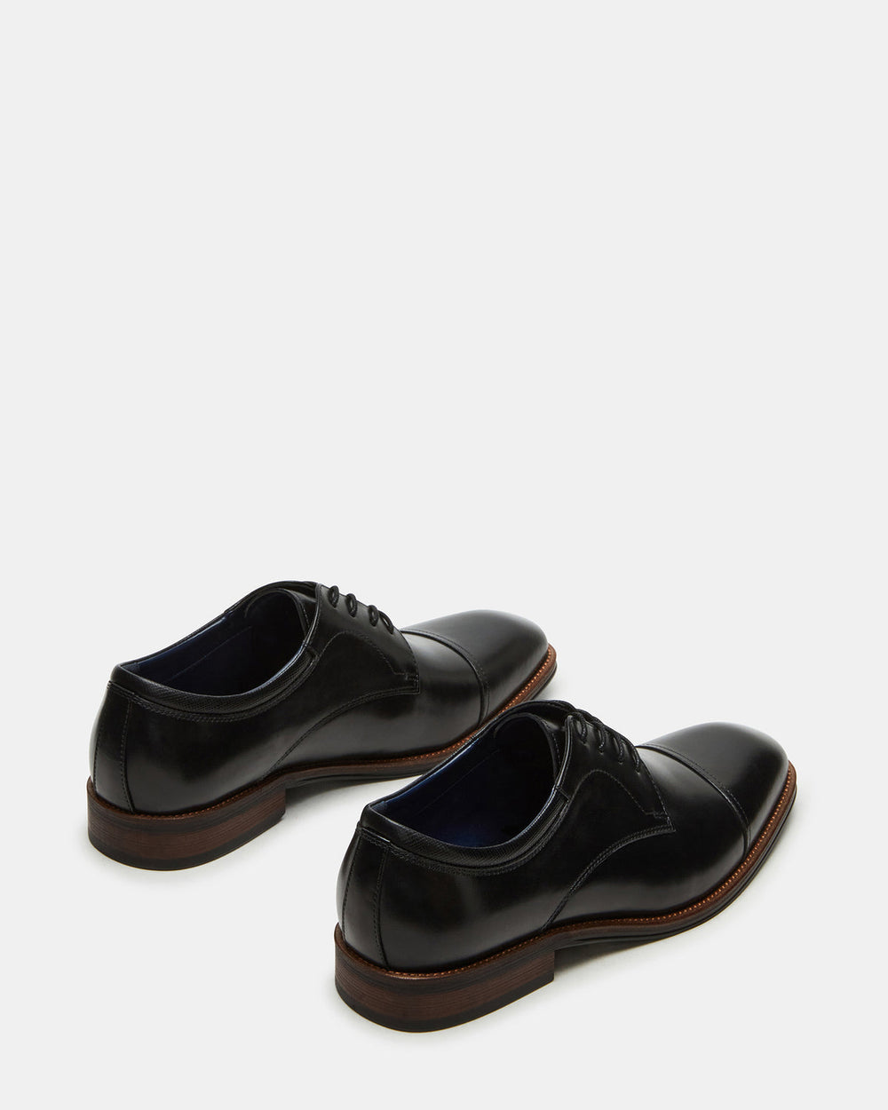 HASEN Black Leather Men's Lace-Up Dress Shoe | Steve Madden near me