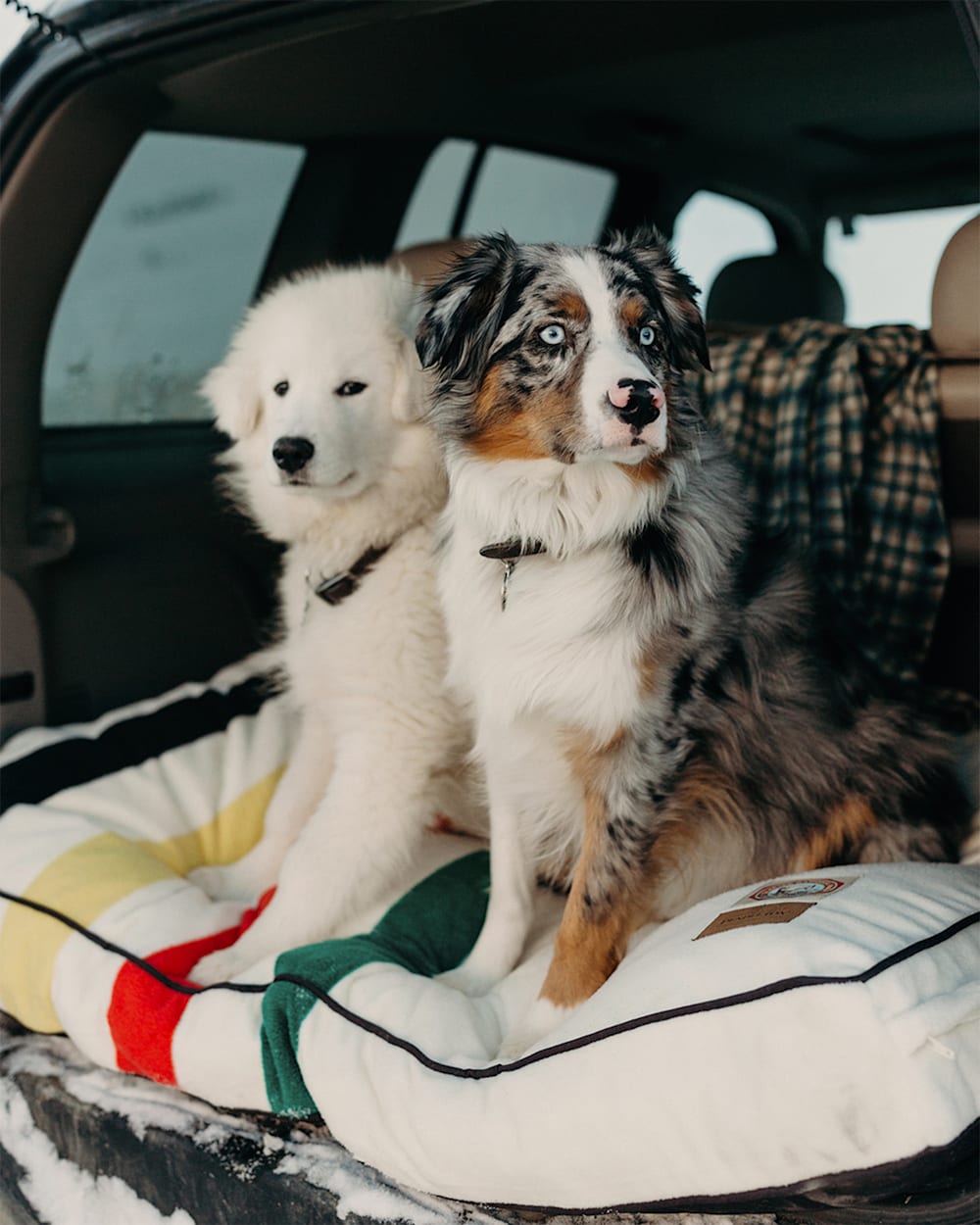 Pendleton Shop Glacier National Park Pet Bed Napper for Pet Comfort