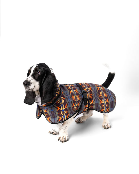 Pendleton Shop Mystic Lake Pet Rain Coat in Pet Accessories