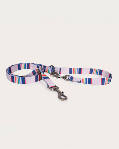Pendleton Buy The Durable Yellowstone Adventure Leash