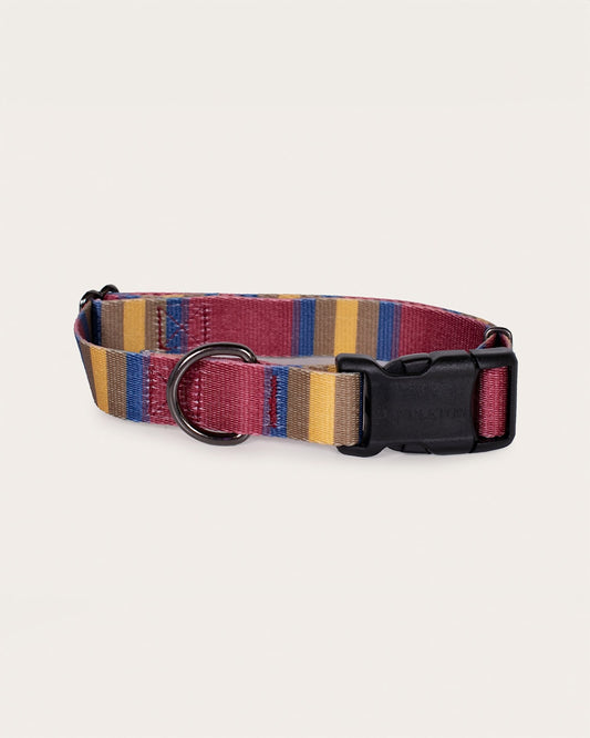 Pendleton Shop Stylish & Durable Zion Adventure Collars
