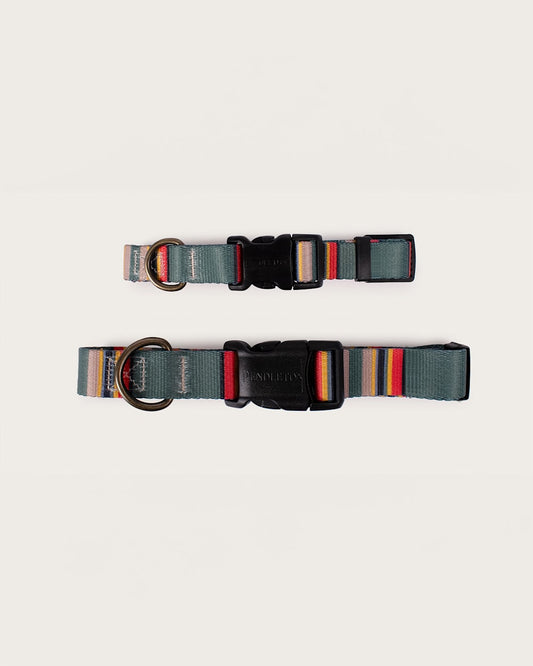 Pendleton Shop Stylish & Durable Yakima Adventure Collars