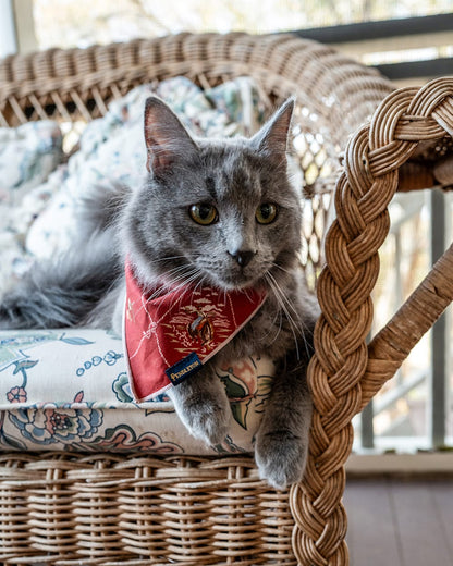 Pendleton Pet Bandana Scarf - 3 pack
