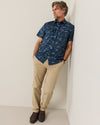 Blue Stripe Harding