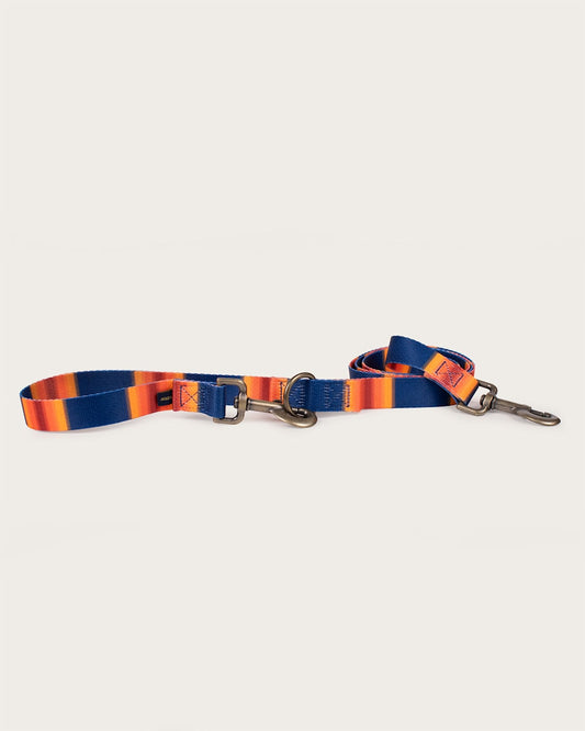 Pendleton Shop Stylish Grand Canyon Adventure Leashes