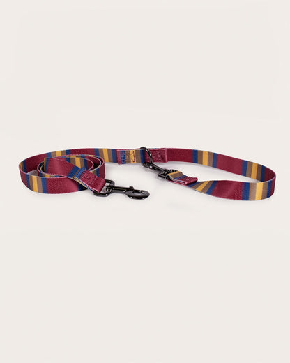 Pendleton Shop Stylish, Durable Zion Adventure Leashes