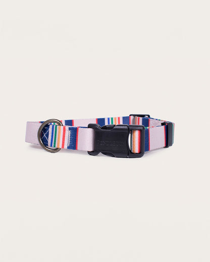 Pendleton Shop Stylish Yellowstone Adventure Collars