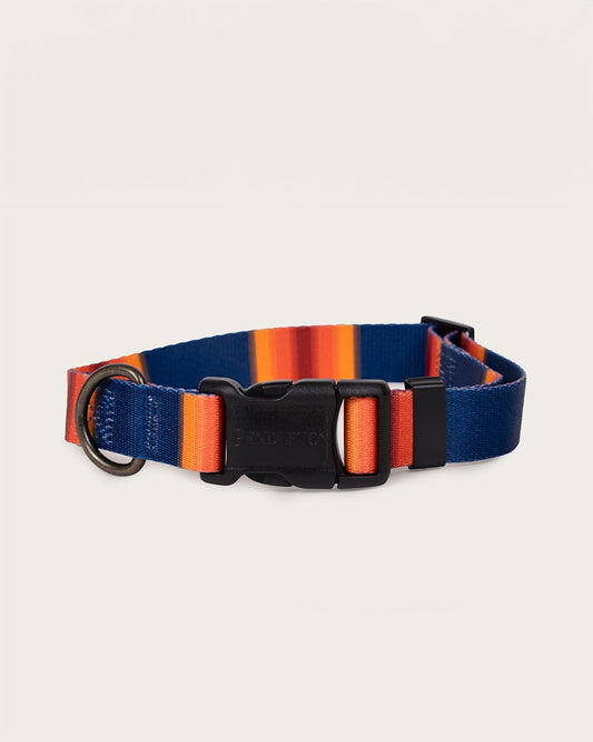 Pendleton Shop Stylish Grand Canyon Adventure Collars