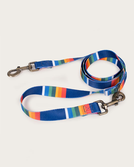 Pendleton Shop Stylish Crater Lake Adventure Leashes